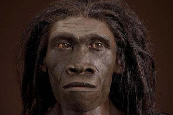 نظرية جديدة: اللغة بدأت قبل 1.5 مليون سنة مما كان يُعتقد