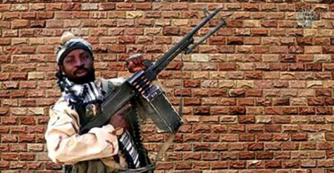 مقتل خمسة مدنيين في هجوم لبوكو حرام في النيجر