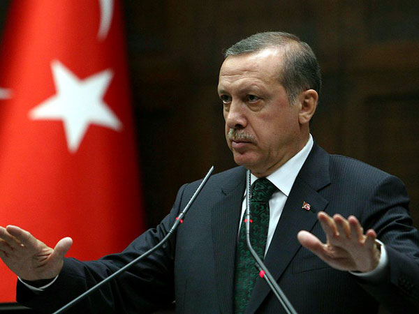 اردوغان يرحب بالضربات على سوريا