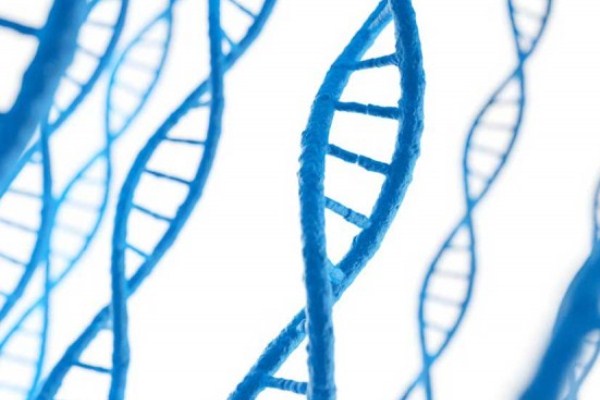 علماء: في الحمض النووي ذاكرة جينية تمتد 14 جيلًا