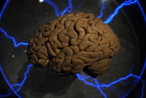 تجارب تمهد لامكانية إبقاء دماغ الانسان حياً بعد الموت