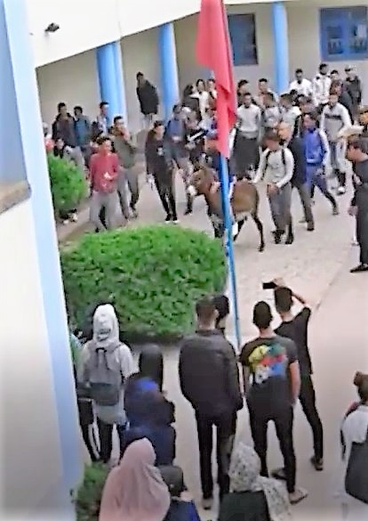 المغرب: تلميذ يدخل مؤسسة تعليمية على ظهر حمار