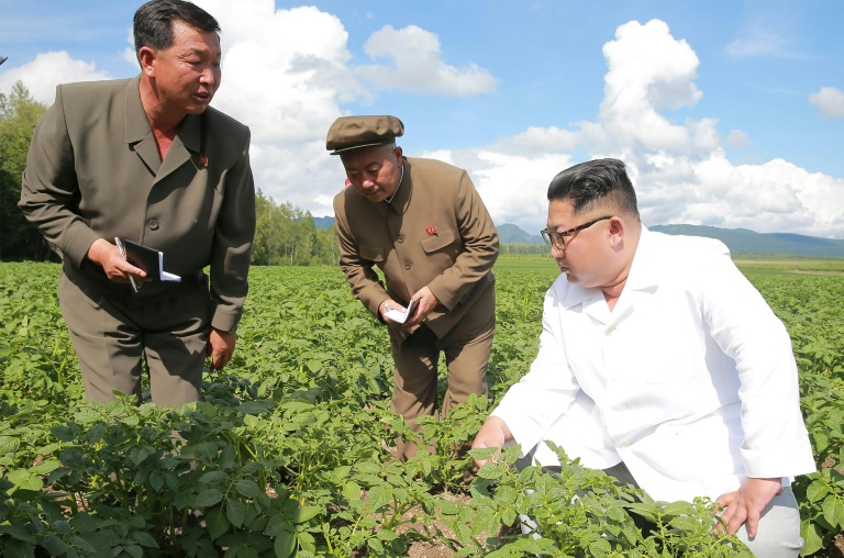 الزعيم الكوري الشمالي فضل البطاطا على بومبيو