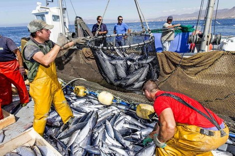 توافق بين المغرب والاتحاد الأوروبي حول تجديد اتفاقية الصيد البحري