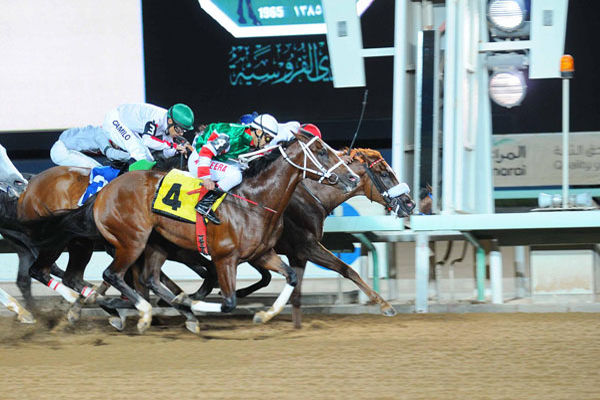 من سباقات الفروسية على ميدان الملك عبدالعزيز بالجنادرية