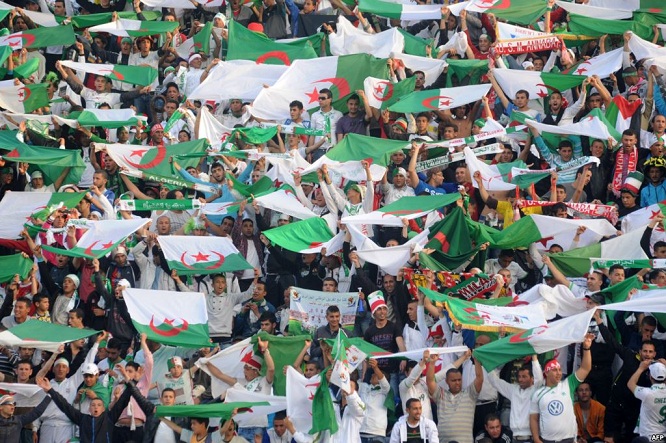 الجماهير الجزائرية تغمرها فرحة عارمة بعد التأهل لمونديال البرازيل