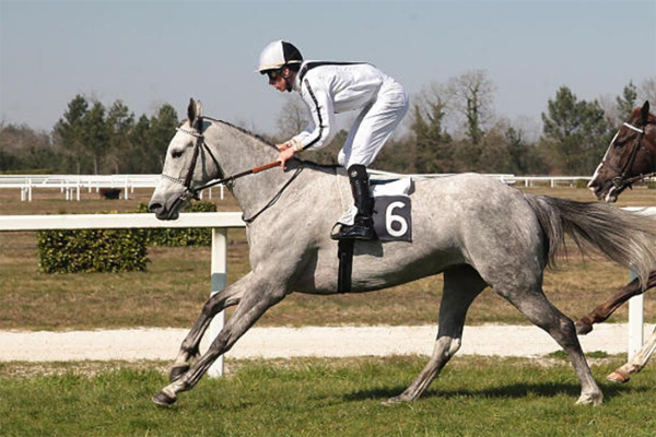 اغاريد تصل خط النهاية بنجاح