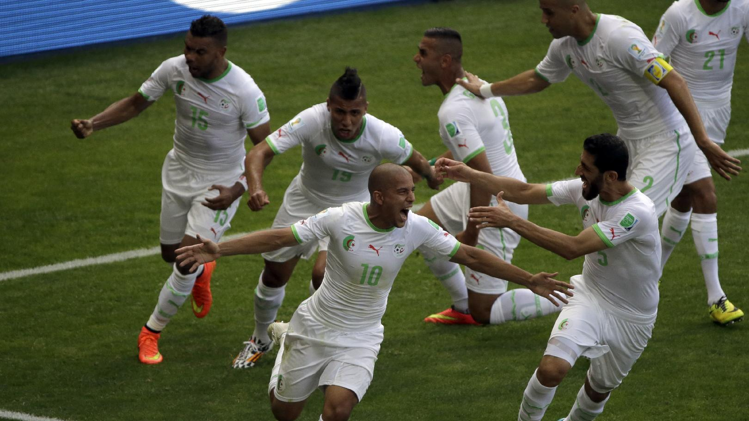 فرحة لاعبي الجزائر بهدف فغولي في بلجيكا