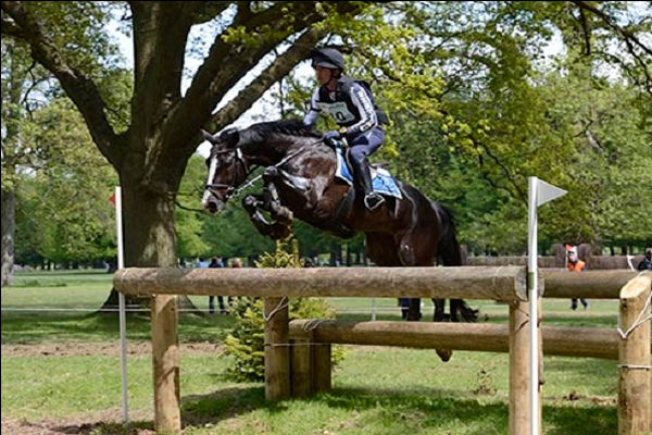 لفارس الالماني بنيامين فينتر 
