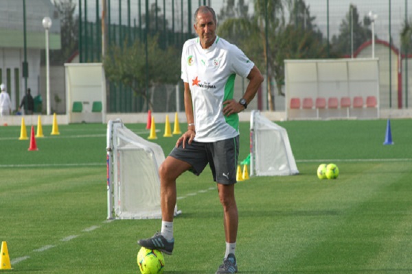 المدرب المساعد للمنتخب الجزائري لكرة القدم نور الدين قريشي