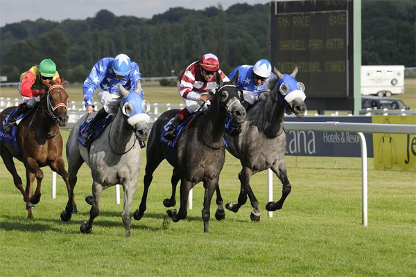 من سباق نيوبري العام الماضي