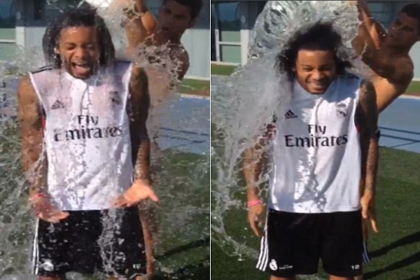 مارسيلو يشارك في الحملة