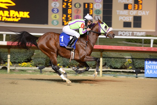 ديس أز أوصم بطل الشوط الثاني