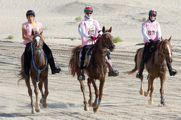 باحثات عالميات يشدن بدور المرأة في عالم الخيول العربية