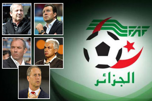 الاتحاد الجزائري تلقى 15 سيرة ذاتية لمدربين يرغبون في تدريب المنتخب الوطني الأول
