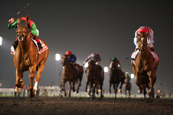 الخيول الإماراتية والاميركية مرشحة للقب النسخة 21 من كأس دبي العالمية