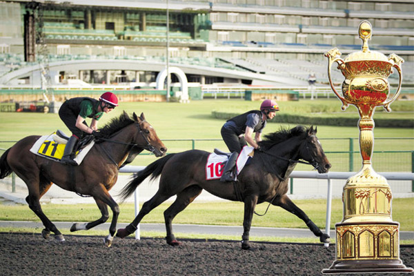 خيول الإمارات تسعى إلى حصد اللقب الـ11 لها في كأس دبي العالمي للخيول