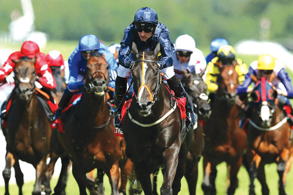 توسكانيني يهدي غودولفين اللقب الوحيد للإمارات في الدربي الإيرلندي