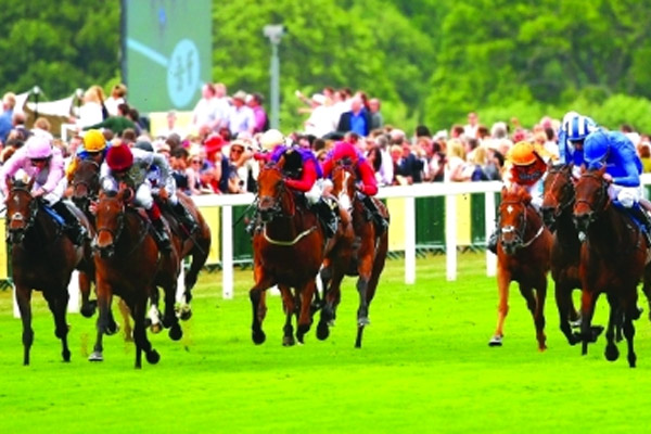 جانب من مهرجان (غولاي) للخيول 