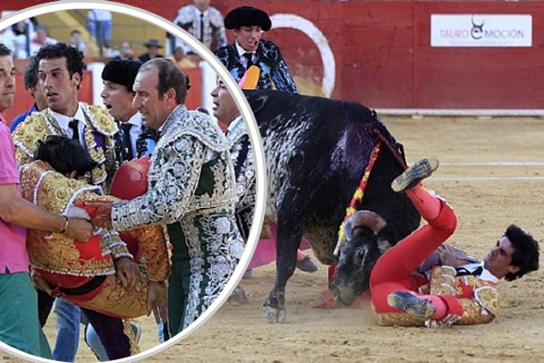 مصارع ثيران إسباني في واقعة هي الأولى من نوعها في إسبانيا خلال القرن الحالي