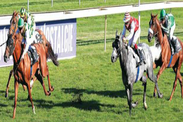 فرنسا على موعد مع سباق التحمل المقبل للخيول العربية الأصيلة