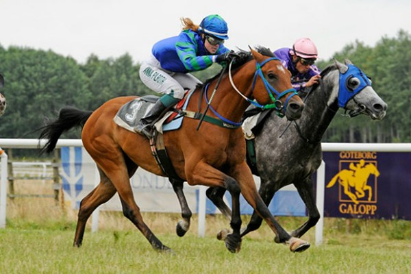 10 يتنافسون في “مونديال أم الإمارات” للمتدربين