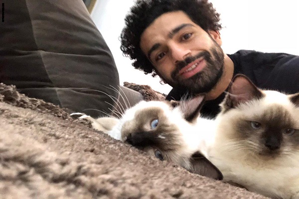 محمد صلاح يرفض تصدير القطط والكلاب من مصر