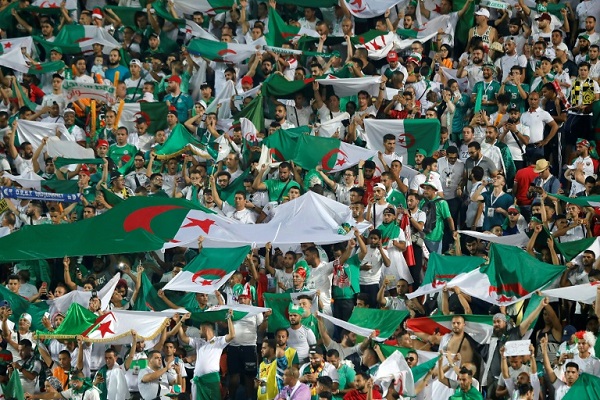 مشجعون جزائريون في مدرجات ستاد القاهرة الدولي خلال مباراة منتخب بلادهم ضد نيجيريا في نصف نهائي كأس الأمم الإفريقية 
