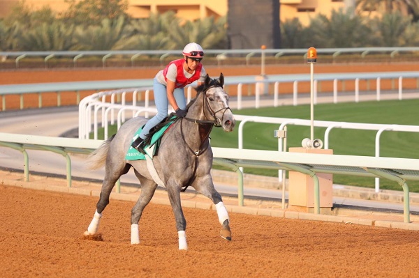 السعودية تدخل مضمار سباقات الخيول العالمية من بوابة أغلى الجوائز