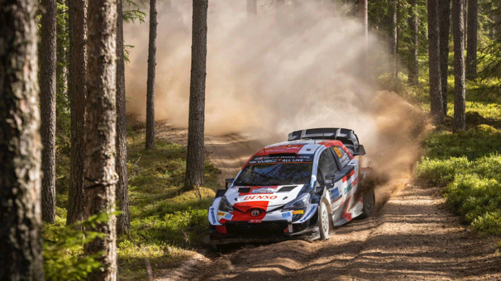 الفنلندي كاله روفانبيرا استهل مشواره في بطولة العالم للراليات في تشرين الأول/أكتوبر 2017