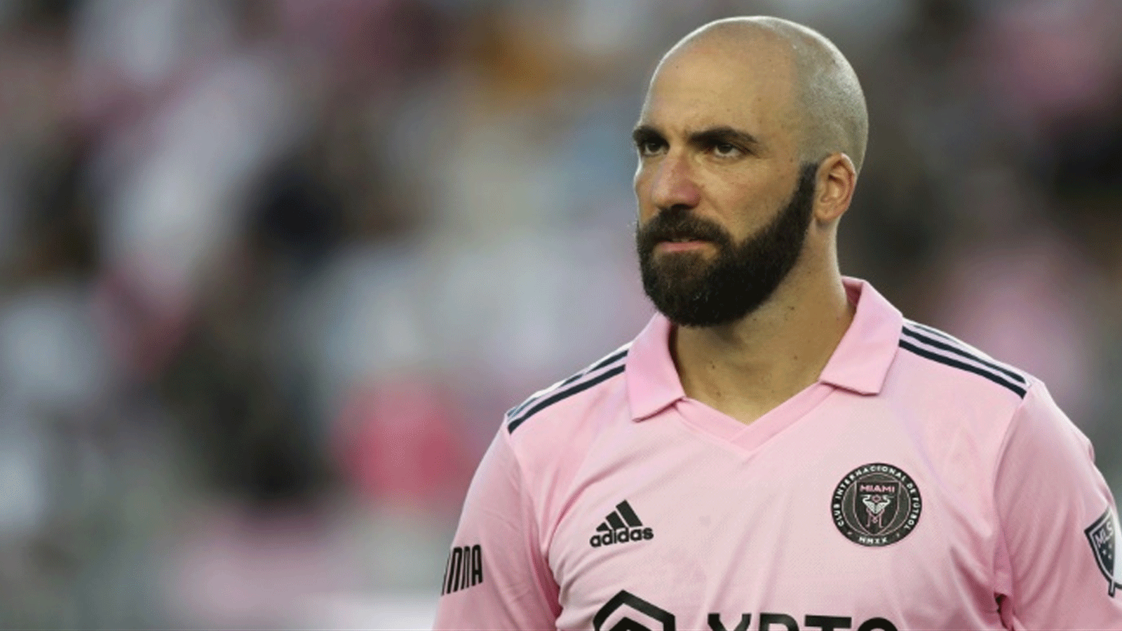 المهاجم الارجنتيني الدولي السابق غونزالو هيغواين