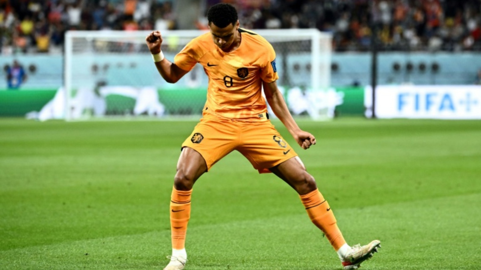 سجل كودي خاكبو هدفًا في كل من المباراتين الأوليين لهولندا في كأس العالم قطر 2022