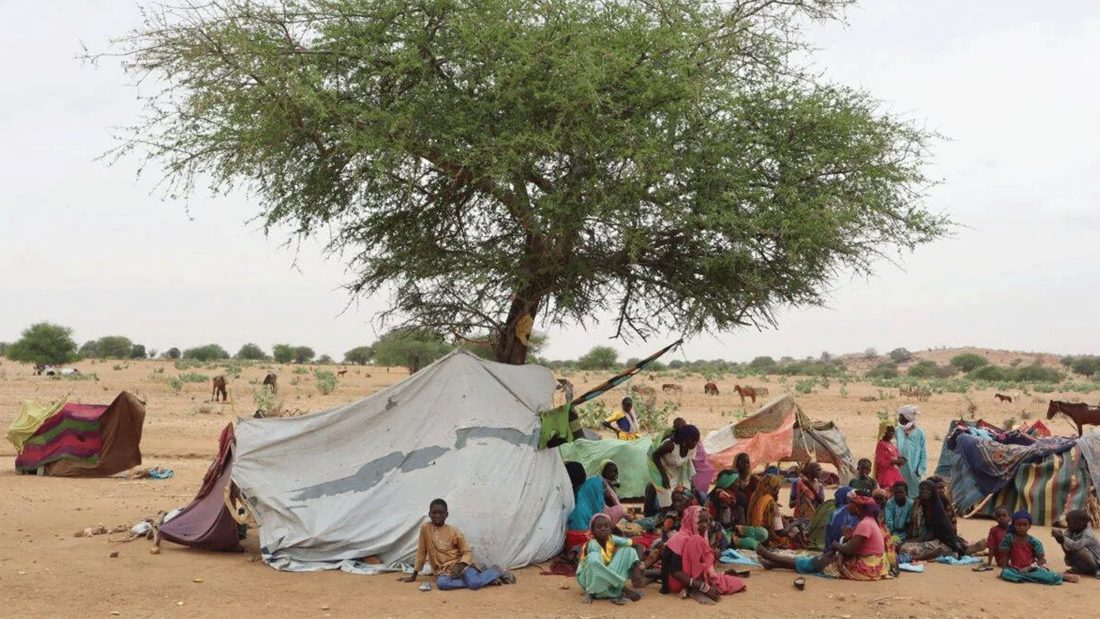 لاجئون سودانيون يعبرون الحدود إلى تشاد ويتجمعون بجوار مأوى مؤقت في مخيم في الكفرون، بالقرب من إشبارة. صورة التُقِطَت في 1 أيار\مايو 2023