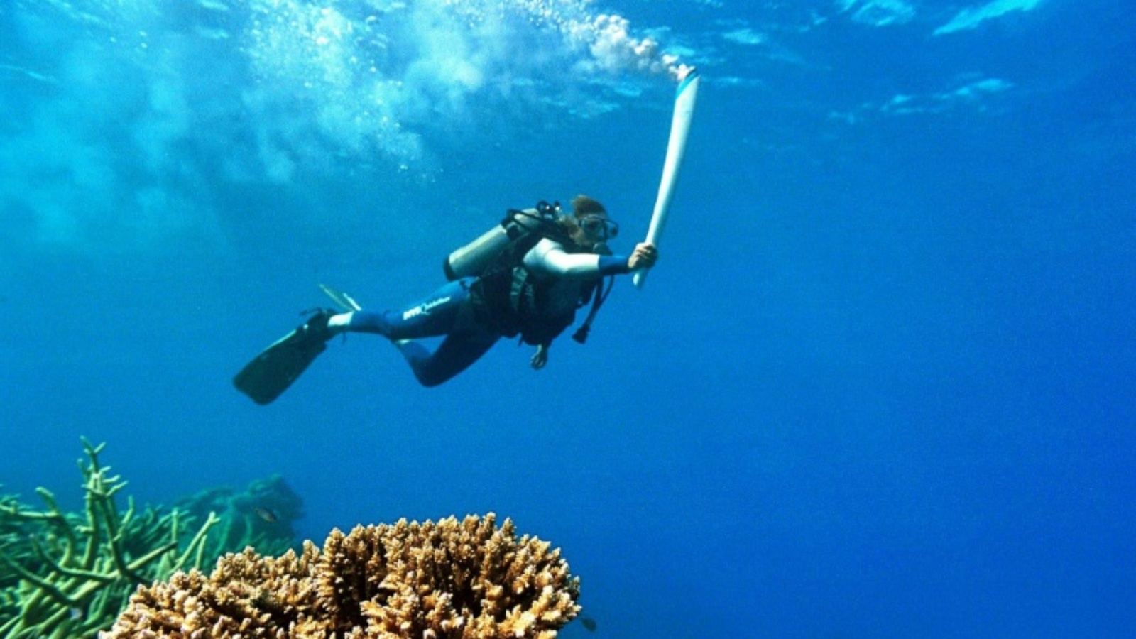 الشعلة الأولمبية تحت الماء على طول الحاجز المرجاني العظيم عام 2000 في أستراليا