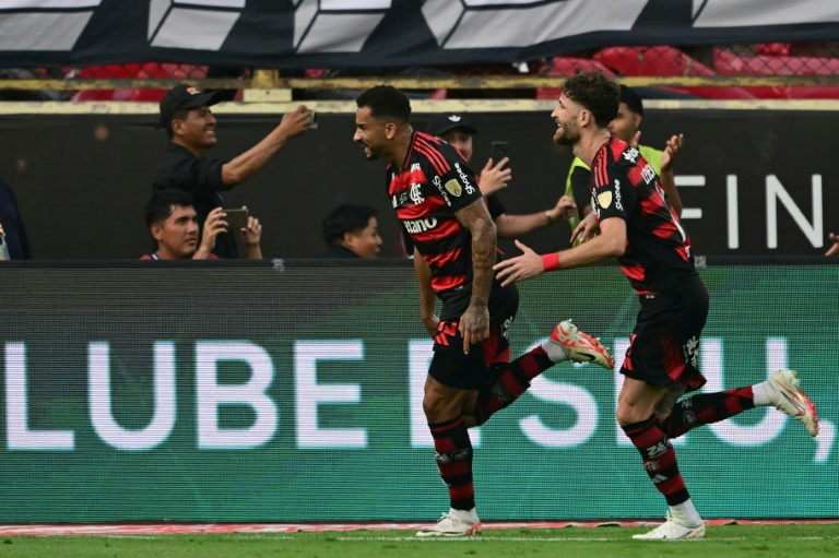 سجل دانيلو هدف الفوز لفلامنغو في نهائي كأس ليبرتادوريس