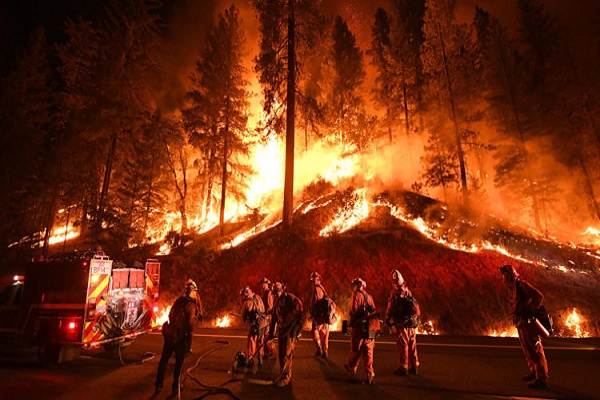 نحو 600 رجل إطفاء يكافحون حريقا في كاليفورنيا