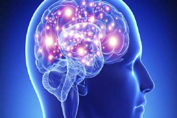 دراسة: كبر حجم الدماغ ليس مؤشر على قوة الذاكرة !