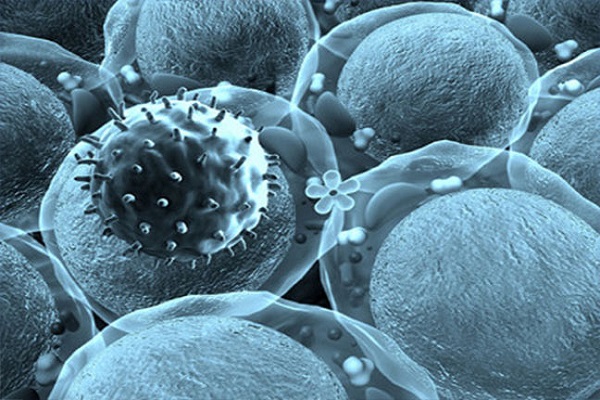 فيروس مهندس وراثيا لقتل الخلايا السرطانية