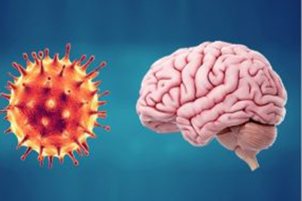 دراسة: كورونا يؤثر على الدماغ!