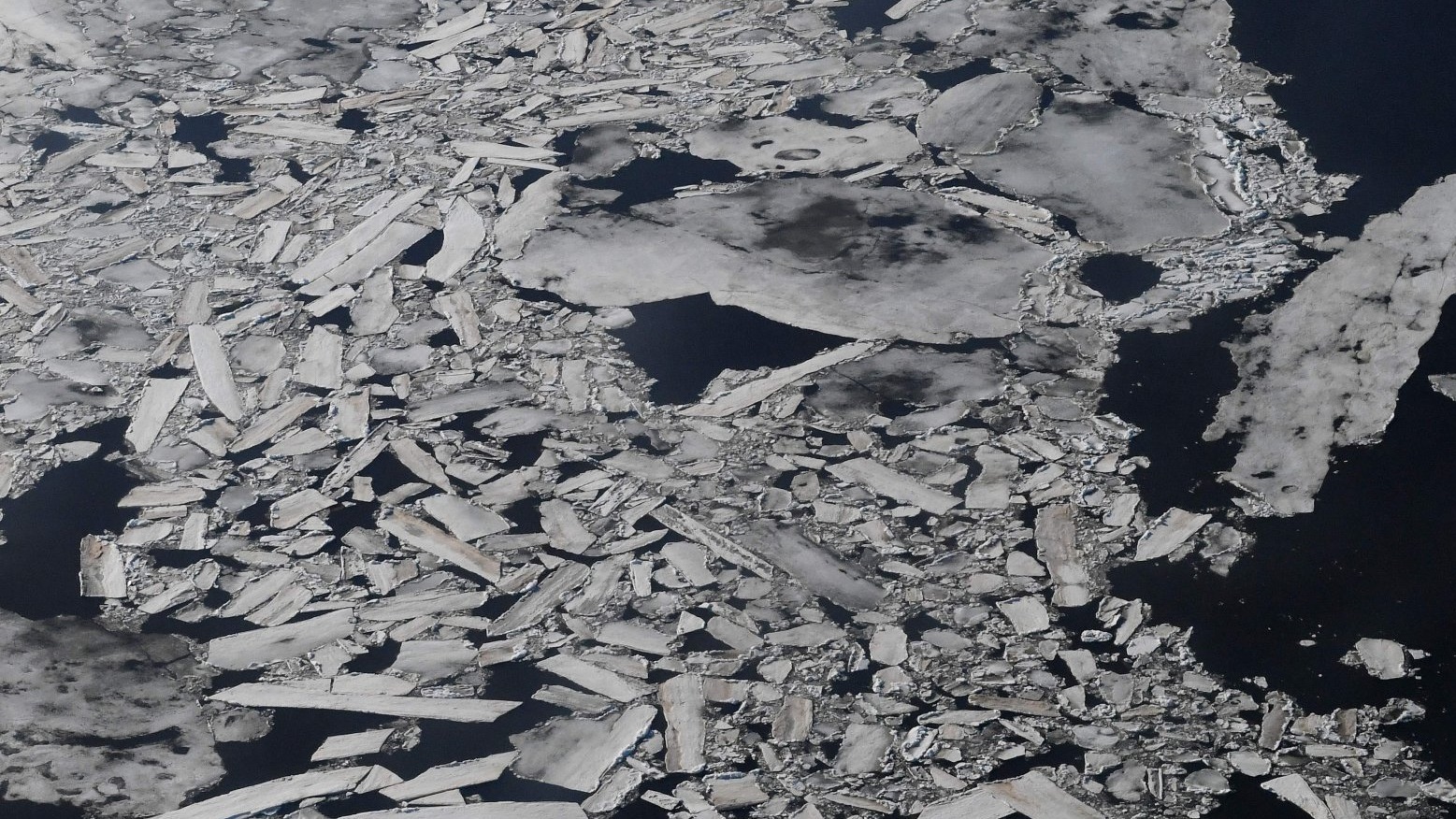 صورة تظهر تكس طبقات الجليد في بحر بيرنغ