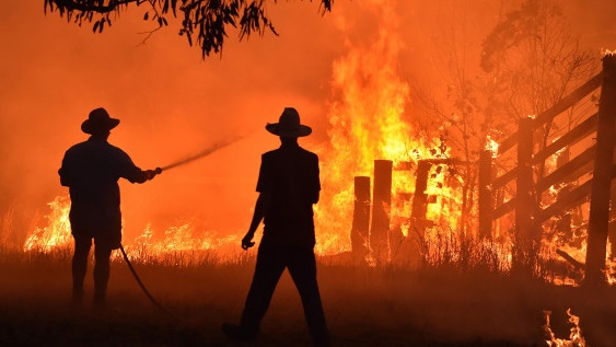 رجلان يحاولان إخماد الحرائق في احدى المزارع