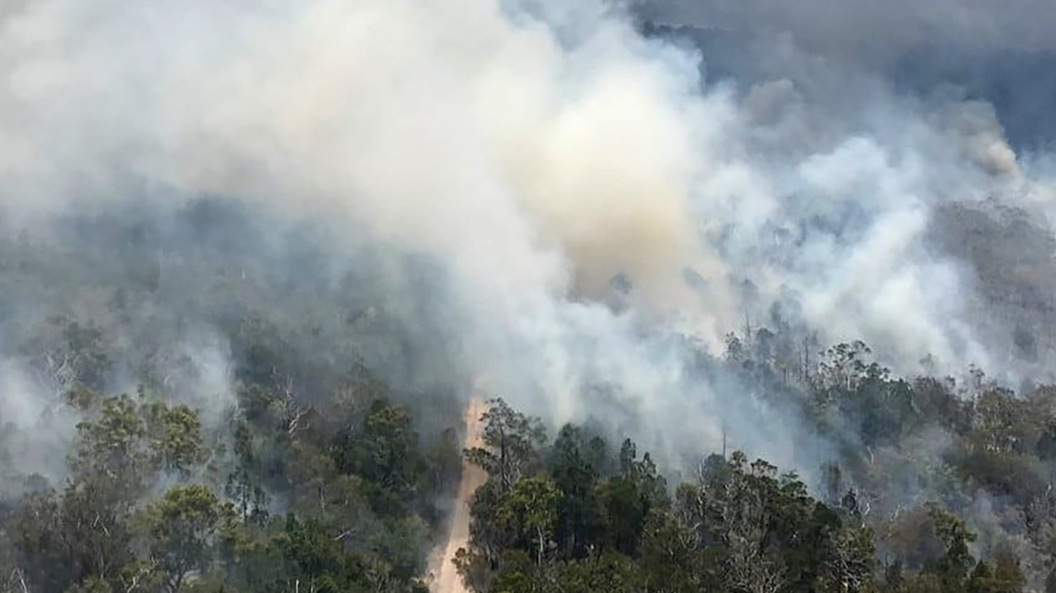 حرائق في غابات أستراليا بفعل ارتفاع الحرارة بشكل ملحوظ خلال نوفمبر