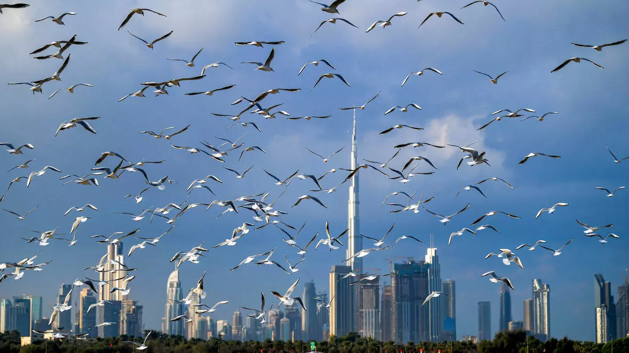 أعادت دبي فتح أبوابها أمام حركة السياحة في يوليو الماضي