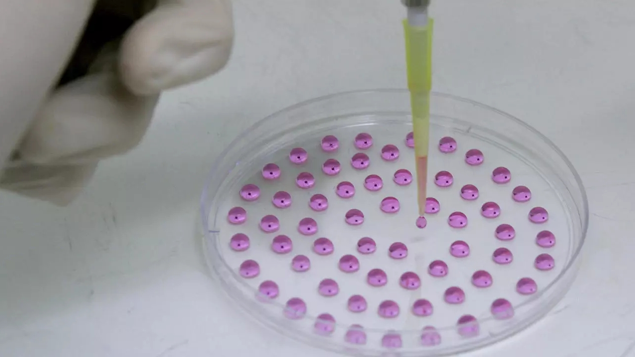 يحاجج بعض العلماء أن أخلاقيات علم الأحياء تقف في طريق العلوم