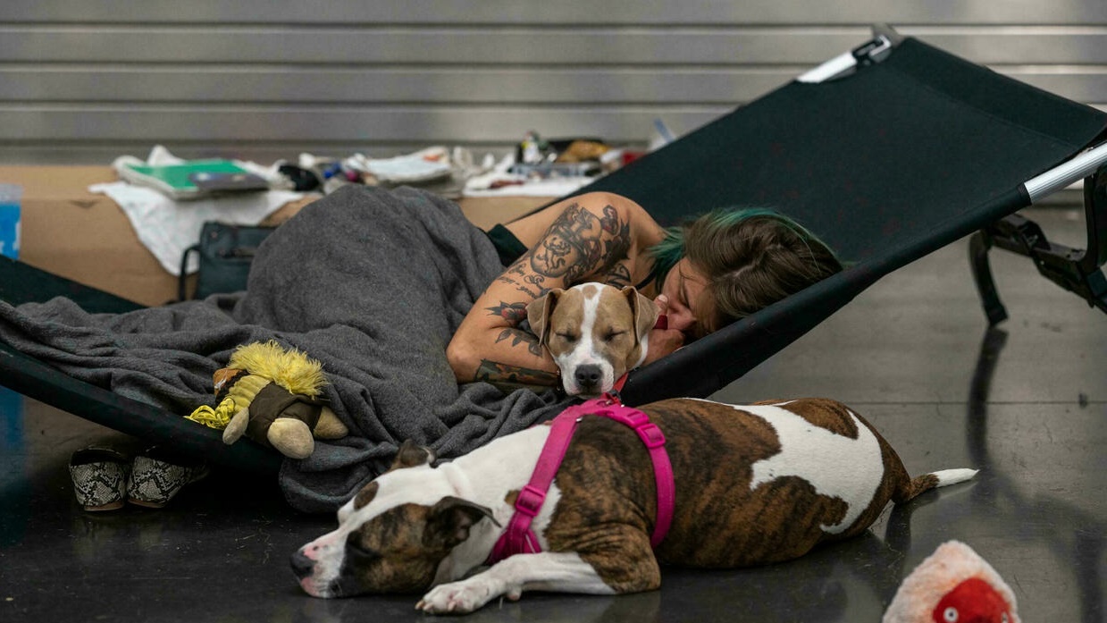 مواطن أميركي يستريح مع كلبيه في 27 حزيران/يونيو 2021 في مركز مكيف فتح في بورتلاند الأميركية