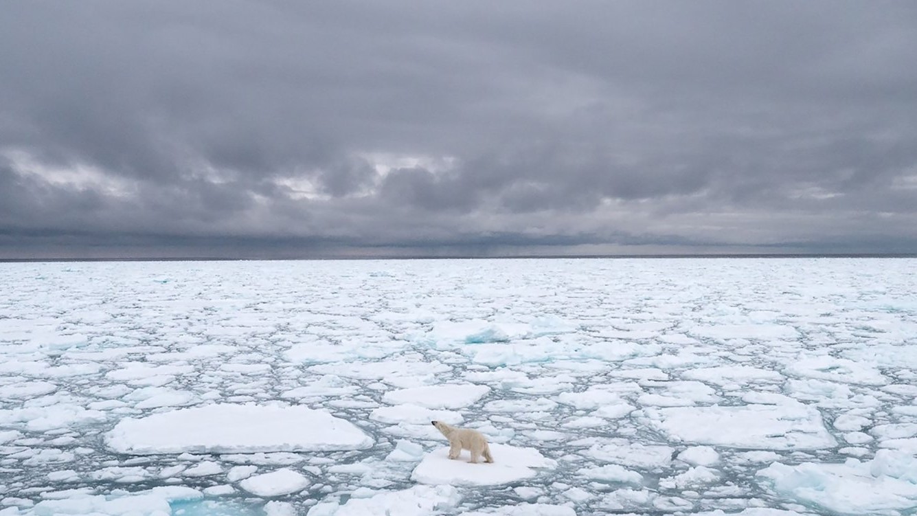 الفيروسات تعيش ملايين السنين في الجليد وتنتقل للإنسان بمجر ذوبانه