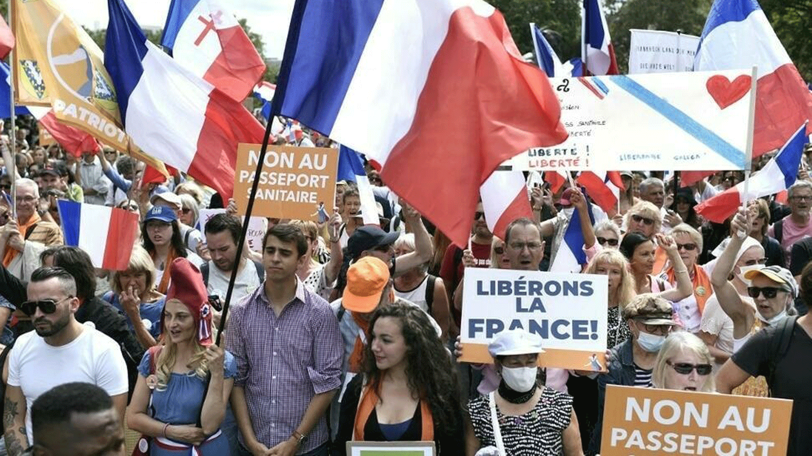  متظاهرون يلوحون بالأعلام الفرنسية ويحملون لافتات كتب عليها 