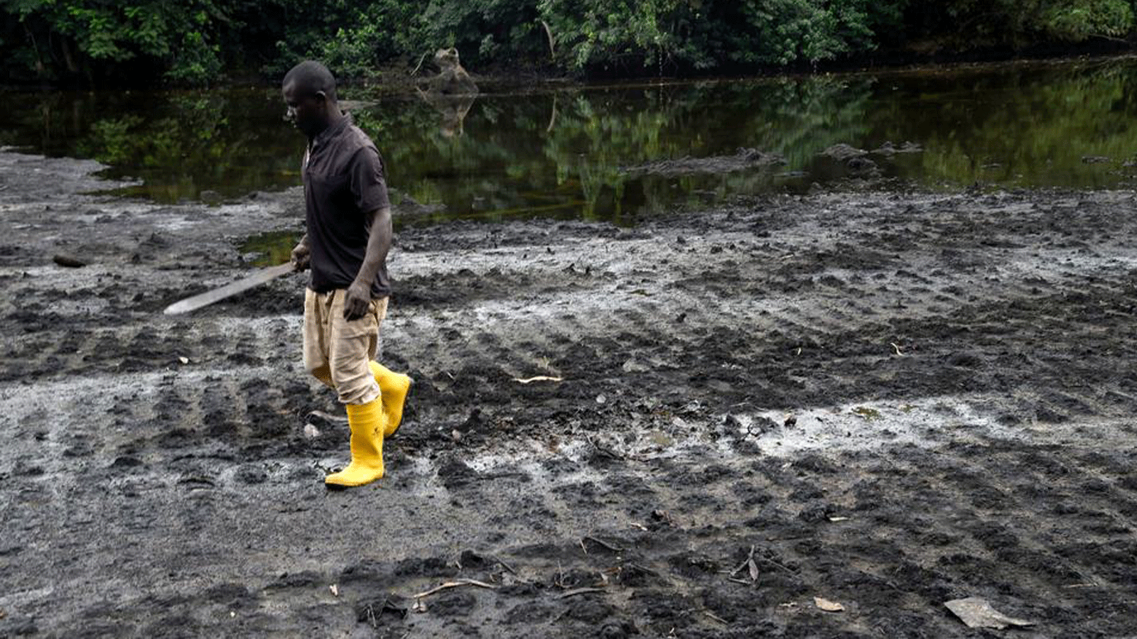 مزارع يسير على شاطئ مستنقعي لنهر ملوّث بانسكابات النفط في بي ديري، أوغونيلاند في ولاية ريفرز. 23 آب/أغسطس 2021