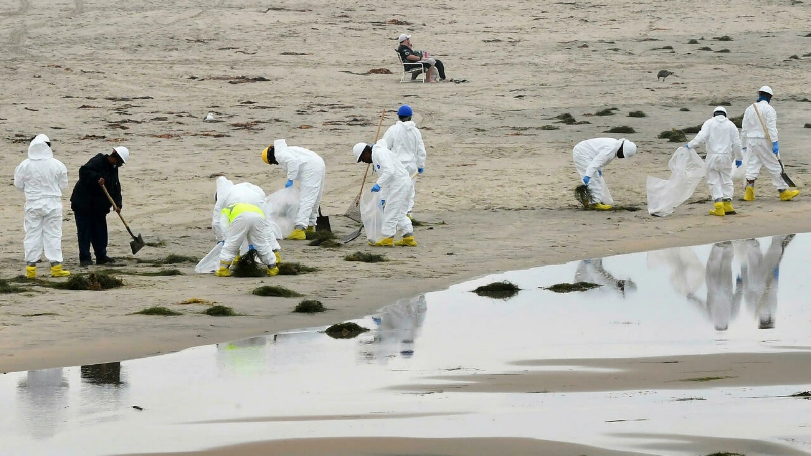 عمال يقومون بتنظيف مساحات طويلة من الشاطئ في الساحل من مدينة لوس أنجلوس، في منطقة معروفة برياضة ركوب الأمواج.