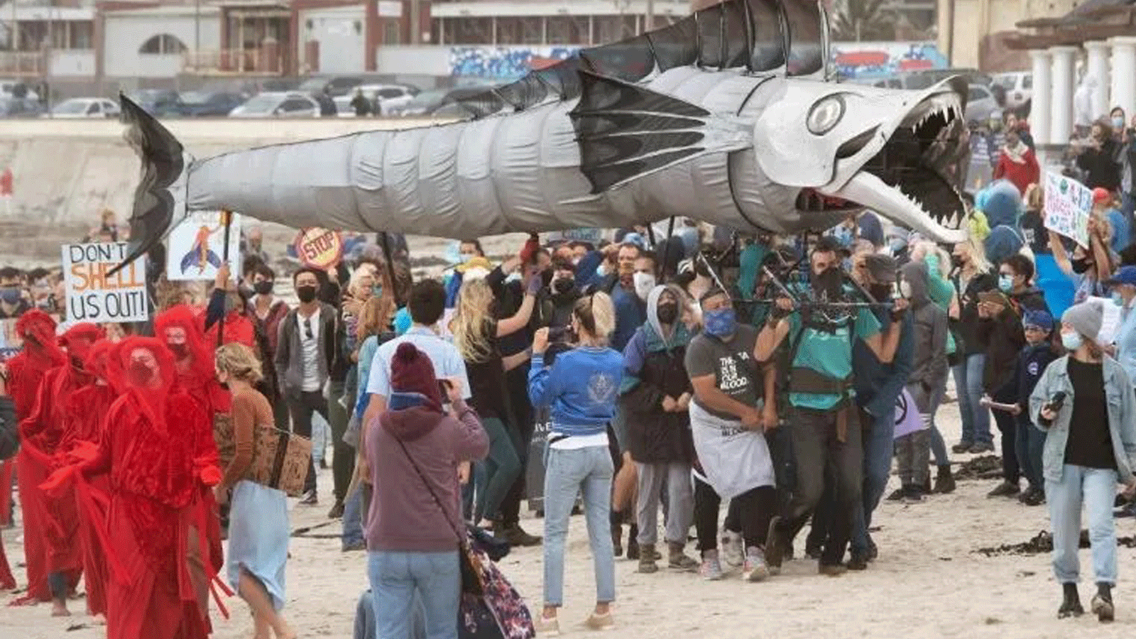 رفع المتظاهرون في كيب تاون رمز السلام ولوحوا بنموذج عملاق من سمكة السنوك لتسليط الضوء على مخاوفهم على الحياة البحرية